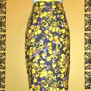 "Crunch Berries" Women's Skirt